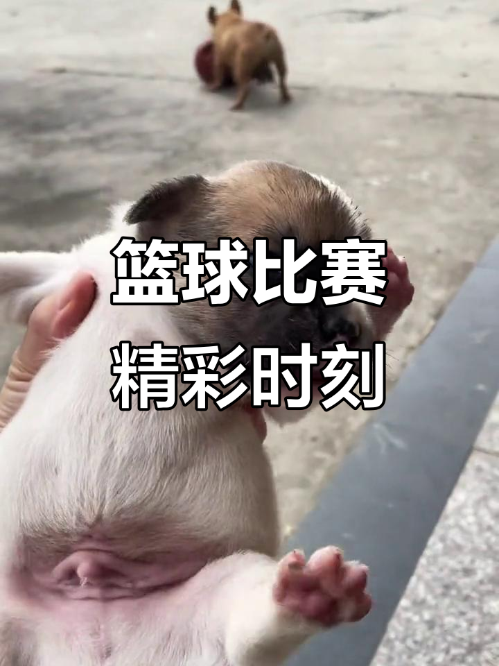 精彩比赛即将开始，谁能笑到最后