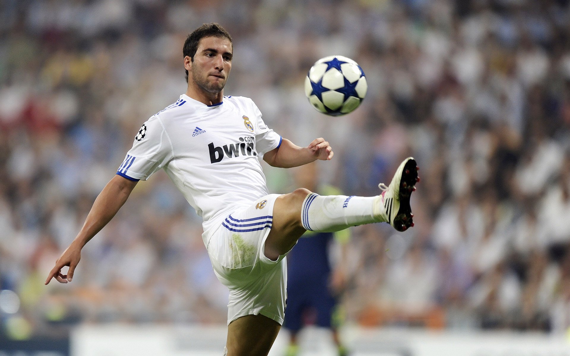 塔图姆彻底打爆防线，骑士踏平浙江队—一场跨时空的战术碾压