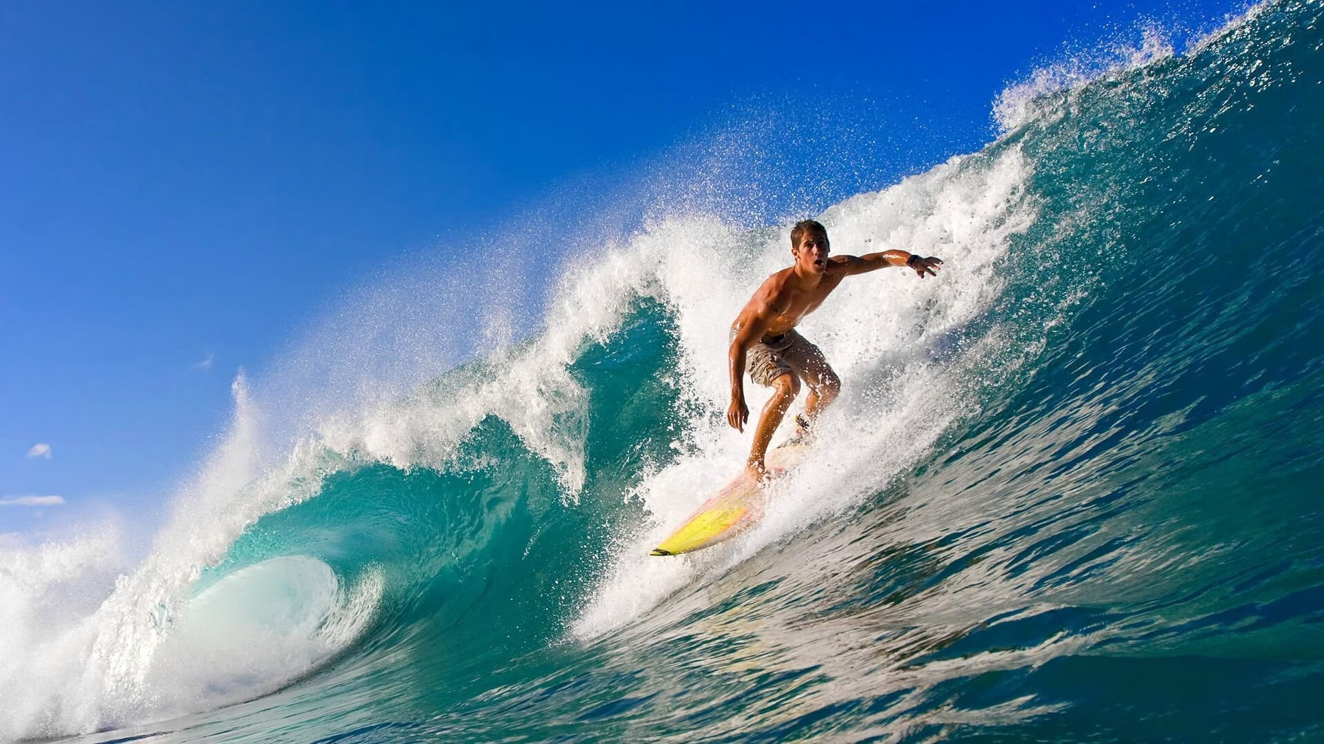 从孟菲斯到上海，塔图姆如何化身关键先生助上海队完成神奇翻盘